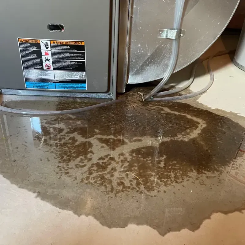 Appliance Leak Cleanup in South Charleston, WV